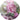 Flower Market Bunch Mini Notecard by Alison Gilmour