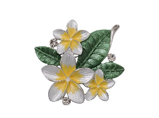 Boxed Yellow Frangipani Rhodium Brooch