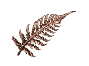 Boxed rosy-gold dainty fern brooch