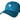 Kiwi & Flag Hat