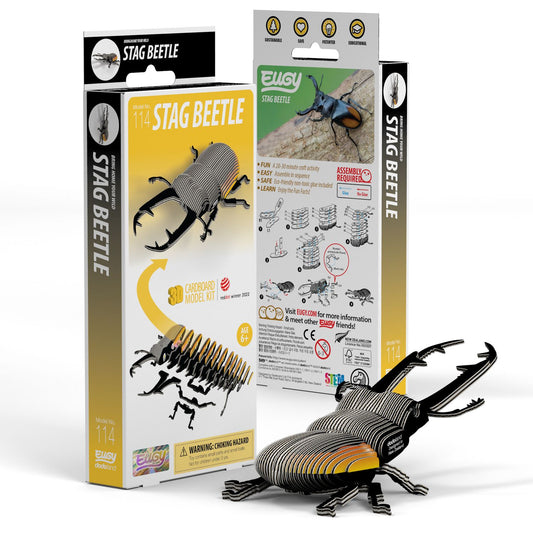 3D Cardboard Model Kit Stag Beetle