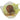 Tea Bag Holder NZ Birds Kiwi