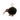 KEY RING PomPom Kiwi Brown