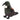 Tui Bird with Sound
