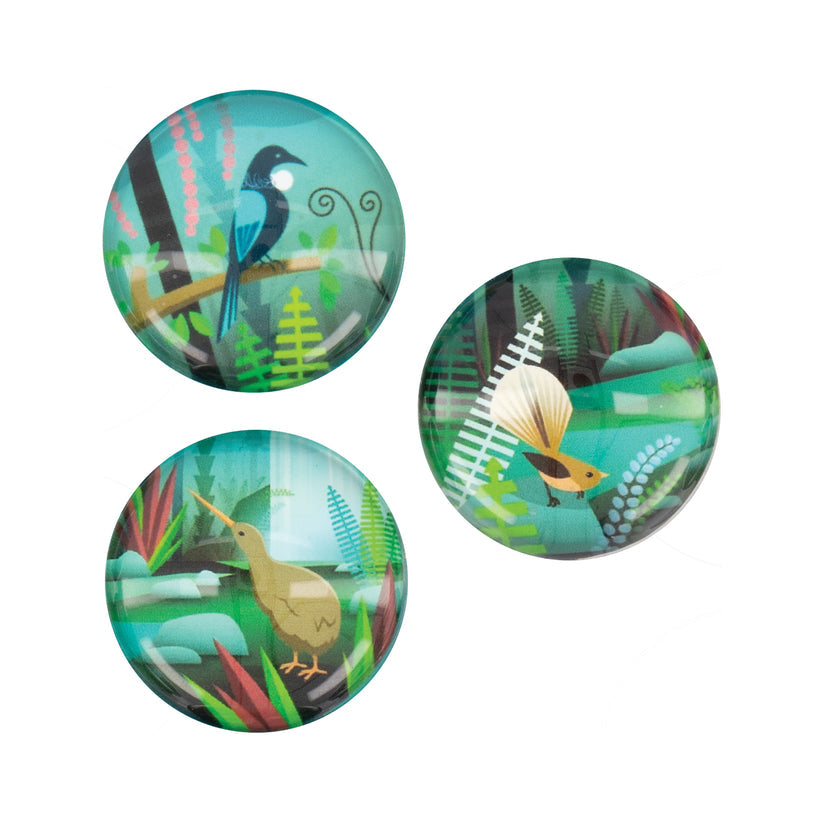 Acrylic Dome Magnet 3PK NZ Scene Birds & Bush