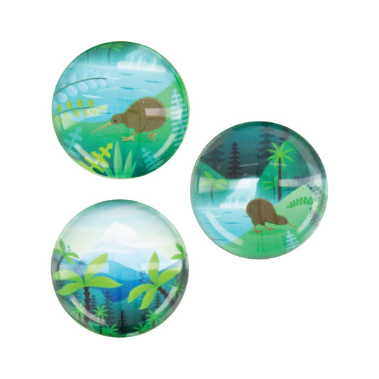 Acrylic Dome Magnet 3PK NZ Scene Kiwi