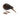 GLASS NZ KIWI SPOTTED SMALL SIZE