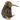 REALISTIC KIWI SPOT 15CM