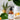 Kawakawa Oil with Sweet Orange
