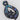 Natural Paua Koru Magnet
