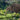BROWN KIWI PHOTO MAGNET