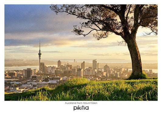 Auckland from Mt Eden NZ Postcard by Chris Gin