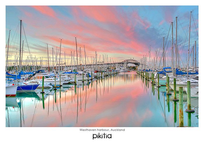 Westhaven Harbour Auckland NZ Postcard