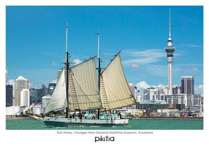 Ted Ashby, Voyager NZ Maritime Museum Auckland NZ Postcard