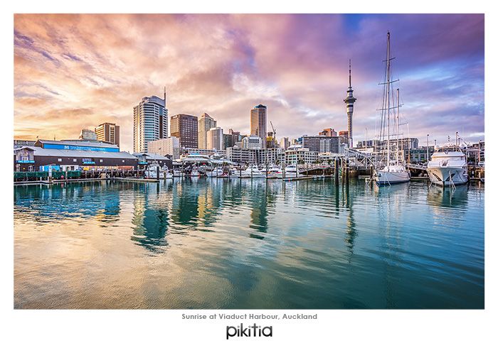 Sunrise at Viaduct Harbour Auckland NZ Postcard by Adrian Hodge