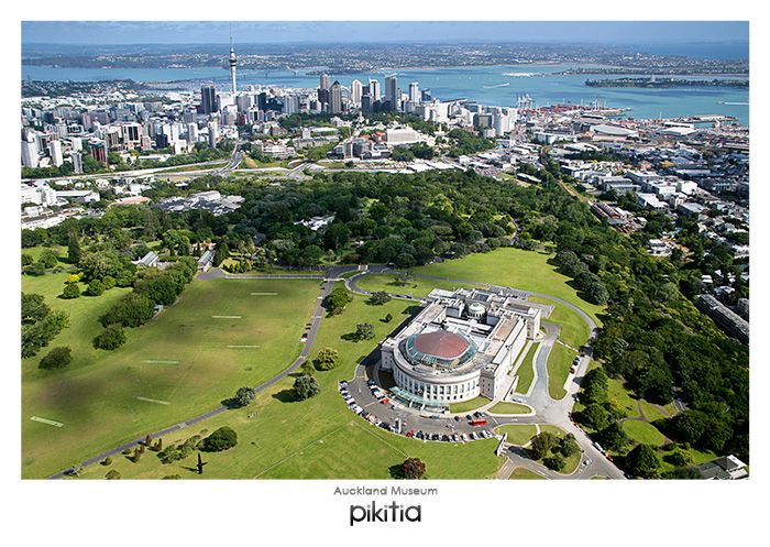 Auckland Museum NZ Postcard