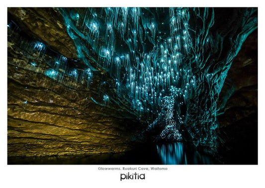 Glowworms Ruakuri Cave Waitomo NZ Postcard