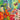 Magic Garden Mini Notecard by Irina Velman