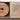 Rimu Coaster Kiwi Bird
